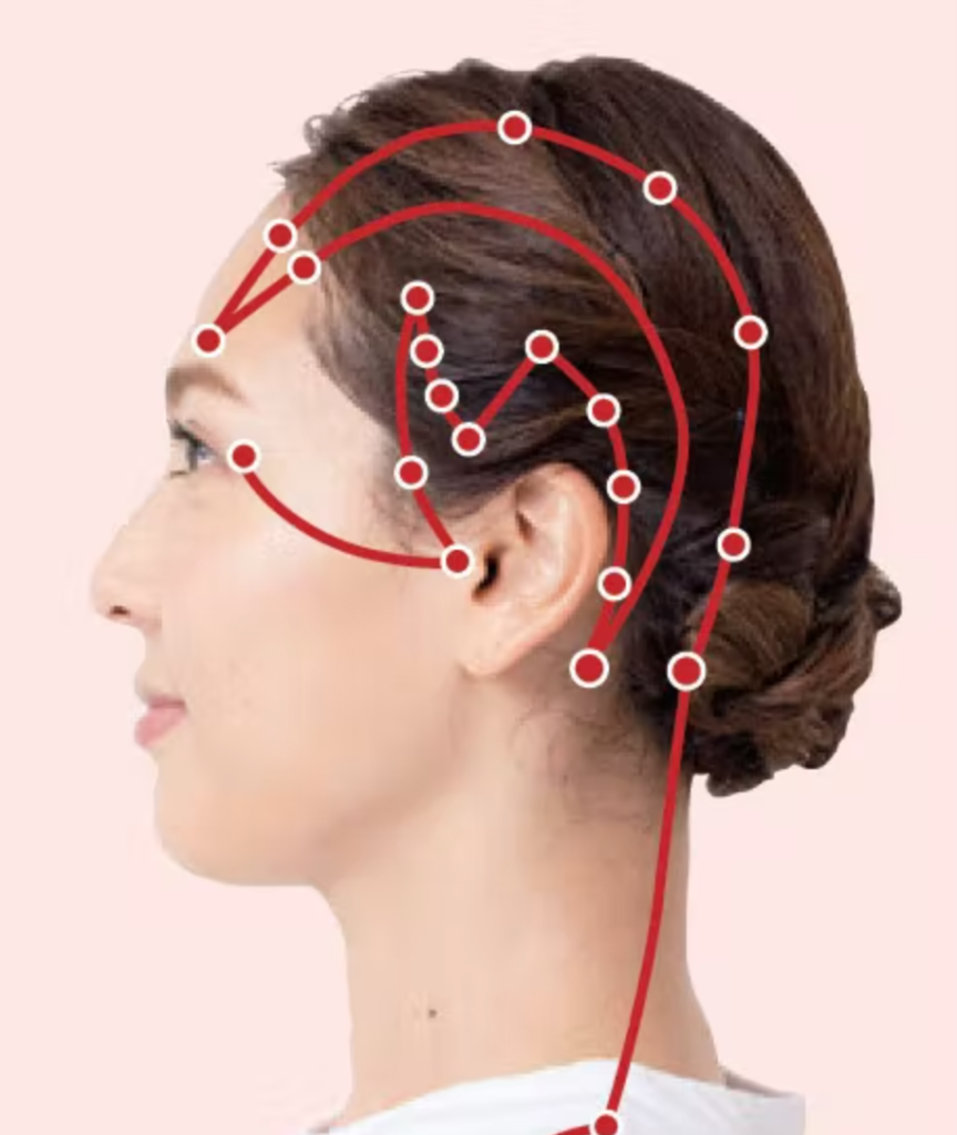 Head acupuncture channels